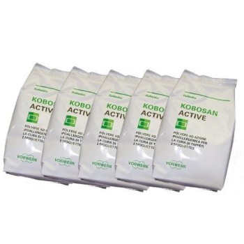 NUOVO KOBOSAN ACTIVE DETERGENTE SECCO TAPPETI CONF. 5 BUSTE X 500 Gr. ORIGINALE FOLLETTO ( EX 51391 )